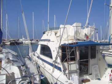 Photo: Sells Boat BERTRAM - 33 FLY