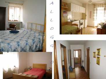 Photo: Rents 4 bedrooms apartment 65 m2 (700 ft2)