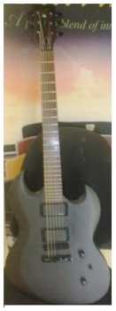 Photo: Sells Guitar VIG(ESP) - VIG POISON