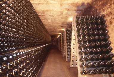 Photo: Sells Wine France - Savoy