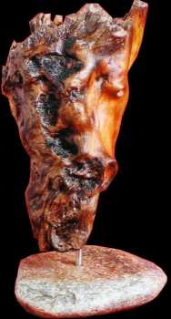 Photo: Sells Bust Wood - CHEVAL - Contemporary