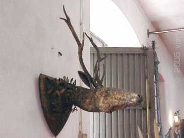 Photo: Sells Sculpture CABECA DE VENADO DE HIERRO UNICA - Contemporary
