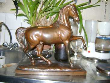 Photo: Sells 2 Statues Bronze - CHEVAL BRONZE - XIXth century