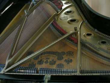 Photo: Sells Concert grand piano STEINWAY & SONS - PIANOFORTE A CODA STEINWAY & SONS MOD C