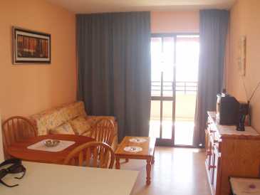Photo: Rents Small room only 40 m2 (431 ft2)
