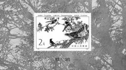 Photo: Sells Stamps sheet UCCELLI - Flora