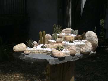 Photo: Sells Shells, fossil and stone JARDIN EXOTIQUE ARIDE MEXICAIN DE SALON.PIECE UNIQ