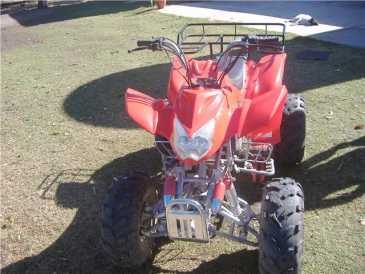 Photo: Sells Mopeds, minibike 200 cc - WARRIOS - 200CCC