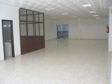 Photo: Rents Real estate 250 m2 (2,691 ft2)