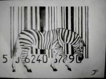 Photo: Sells Drawing ZEBRE - Contemporary