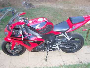 Photo: Sells Motorbike 900 cc - HONDA - CBR RR FIRE BLADE