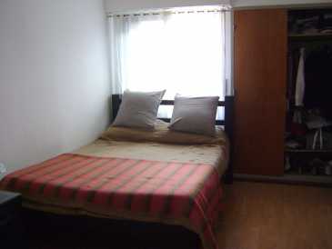 Photo: Rents 1 bedroom apartment 46 m2 (495 ft2)