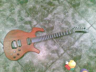 Photo: Sells Guitar PARKER