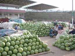 Photo: Sells Fruit and vegetables Water melon