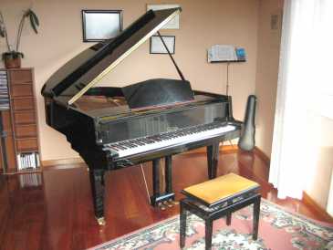 Photo: Sells Concert grand piano CALISIA