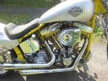 Photo: Sells Motorbike 1340 cc - HARLEY-DAVIDSON - SOFTAIL CUSTOM