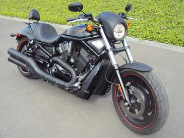 Photo: Sells Motorbike 1300 cc - HARLEY-DAVIDSON - NIGHT ROD SPECIAL