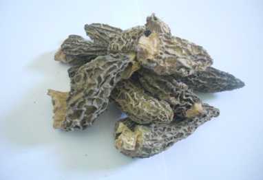 Photo: Sells Nutritional supplement MORILLES