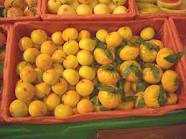 Photo: Sells Fruit and vegetable Tangerine