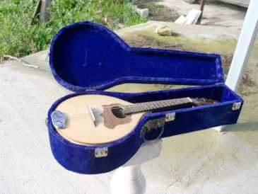 Photo: Sells Guitar and string instrument LIUTERIA ARTIGIANALE - MANDOLINO STILE PORTOGHESE