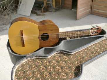 Photo: Sells Guitar and string instrument LIUTERIA ARTIGIANALE - CUATO VENEZUELANO