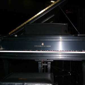 Photo: Sells Concert grand piano STEINWAY - DE CONCERT MODELE D