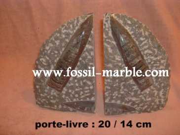 Photo: Sells Decoration BOOKENDS FOSSILS AND FOSSILIZED MARBLE RISSANI - BOOKENDS FOSSILS AND FOSSILIZED MARBLE ERFOUD