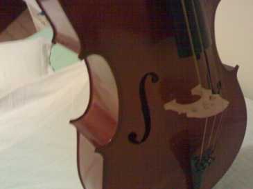 Photo: Sells Cello
