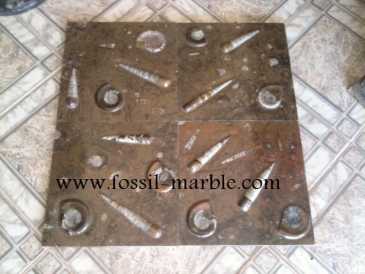 Photo: Sells Decoration BROWN FOSSILIZED MARBLE MOROCCO - BROWN FOSSILIZED MARBLE MOROCCO