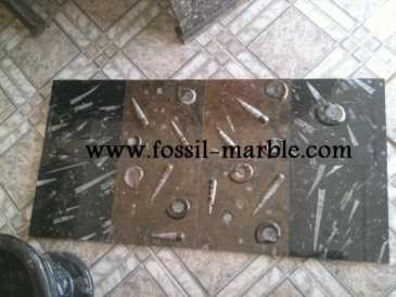 Photo: Sells Decoration BLACK SLAB FOSSILIZED MARBLE MOROCCO - BLACK FOSSILIZED MARBLE MOROCCO