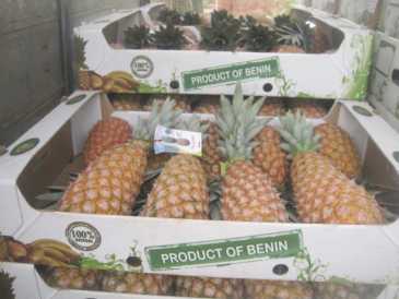 Photo: Sells Fruit and vegetables Pineapple