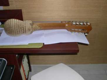 Photo: Sells Guitar and string instrument ARTISAN WORK - 10 STRING MANDOLIN