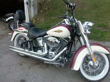 Photo: Sells Motorbike 33485 cc - HARLEY-DAVIDSON