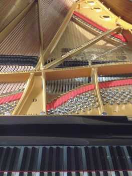 Photo: Sells Concert grand piano STEINWAY & SONS - MODELLO D