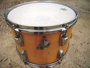 Photo: Sells Percussion LUDWIG - LUDWIG