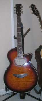 Photo: Sells Guitar SHERWOOD - SH800