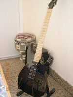 Photo: Sells Guitar VANTAGE - 213 T  COULEURE NOIRE