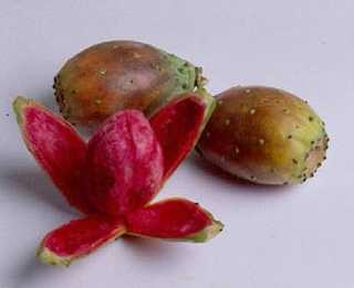 Photo: Sells Fruit and vegetable Prickly pear