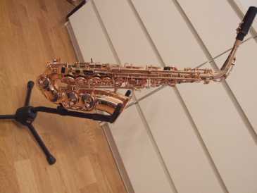 Photo: Sells Saxophone JUPITER - COLORADO