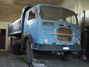 fiat 682