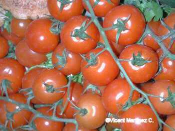 Photo: Sells Fruit and vegetable Tomato