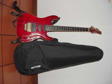 Photo: Sells Guitar SAMICK
