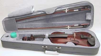 Photo: Sells Violin / fiddle SKY