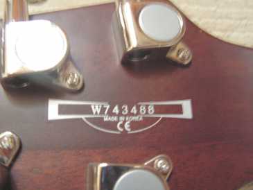 Photo: Sells Guitar IBANEZ - SZ320MH