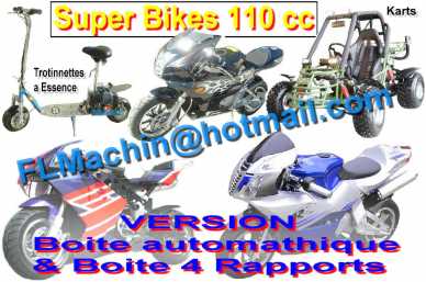 Photo: Sells Mopeds, minibikes 110 cc - LEN