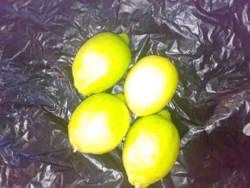 Photo: Sells Fruit and vegetables Lemon