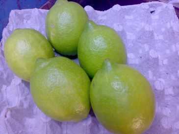 Photo: Sells Fruit and vegetables Lemon