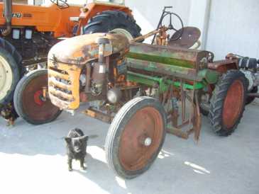 Photo: Sells Agricultural vehicle BODINI - IRIS CENTOMESTIERI