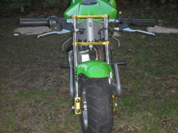 Photo: Sells Motorbike 50 cc - POCKETBIKE - POCKETBIKE