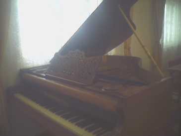 Photo: Sells Grand piano EDMUND LUNER